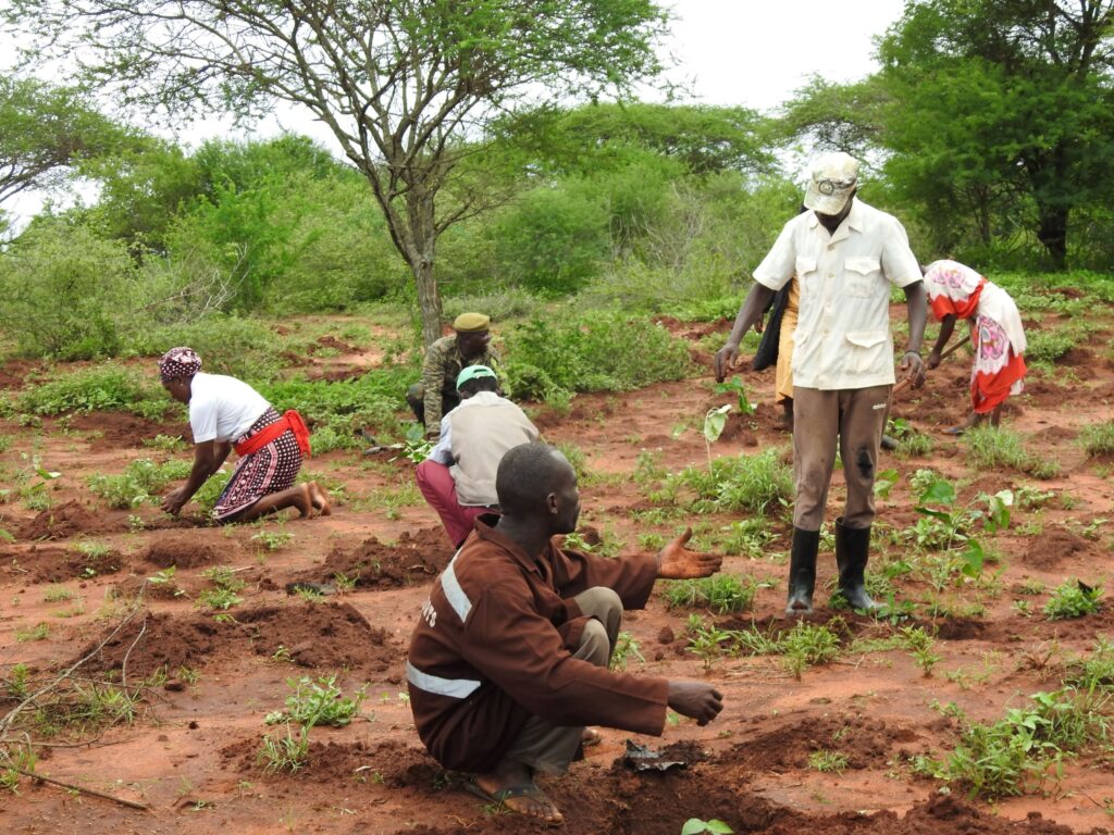 Community Conservation - Tree Planting Initiative