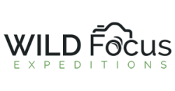 logo_wildfocus